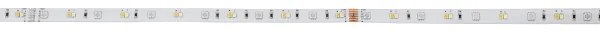 Eglo 99687 - Striscia LED RGBW Dimmerabile 8m LED/24W/24/230V 2700-6500K
