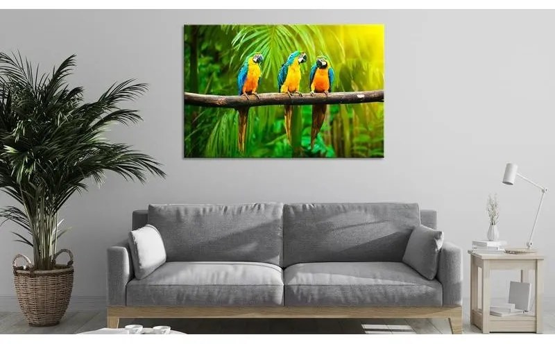 Quadro  Parrot Trio (1 Part) Wide  Larghezza x Altezza Home decor 120x80