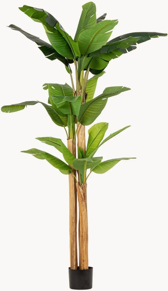 Pianta artificiale da esterno Banana Plant, alt. 280 cm