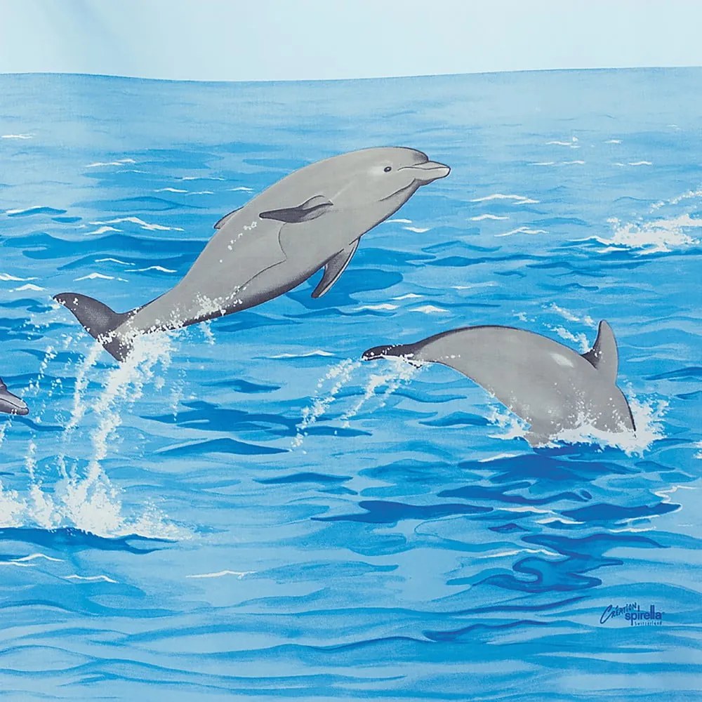 Tenda per doccia 120x200 cm Nemo – Spirella