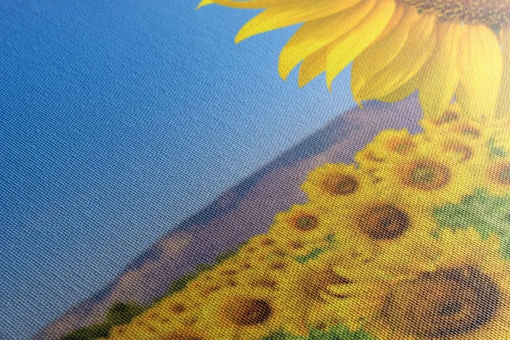 Quadro su tela – Campo di girasoli
