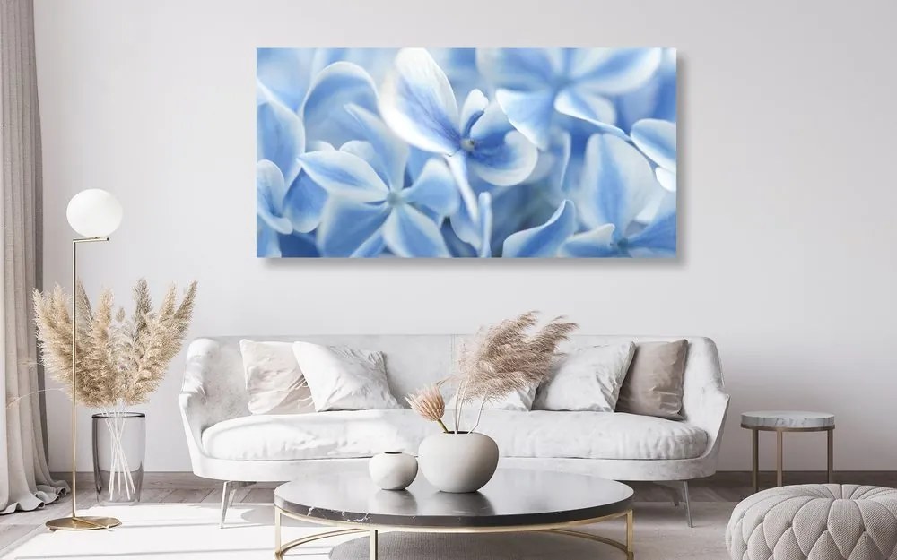 Stampa su tela – Fiori di ortensia blu-bianco