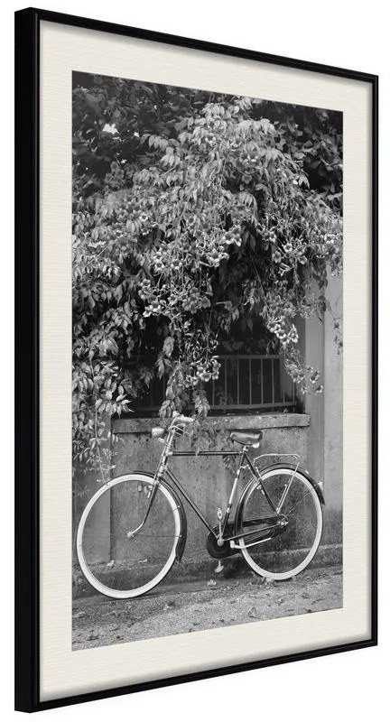 Poster  Bicycle with White Tires  Cornice Quadri Cornice nera con pass-partout, Larghezza x Altezza Home decor 30x45