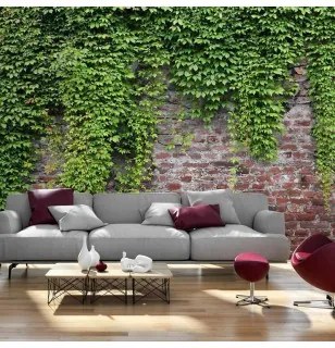 Fotomurale  Edera e mattoni Premium 200x140