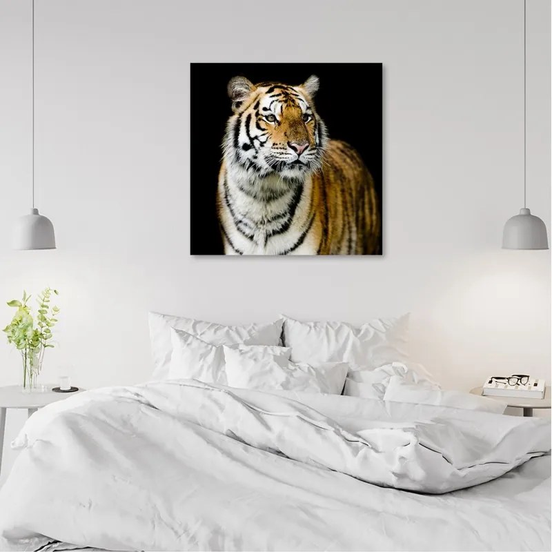 Quadro su tela, Tigre maestosa  Dimensioni 40x40