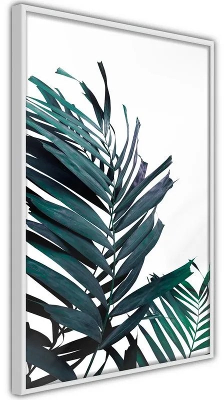 Poster Evergreen Palm Leaves  Cornice Quadri Cornice d'oro, Larghezza x Altezza Home decor 30x45