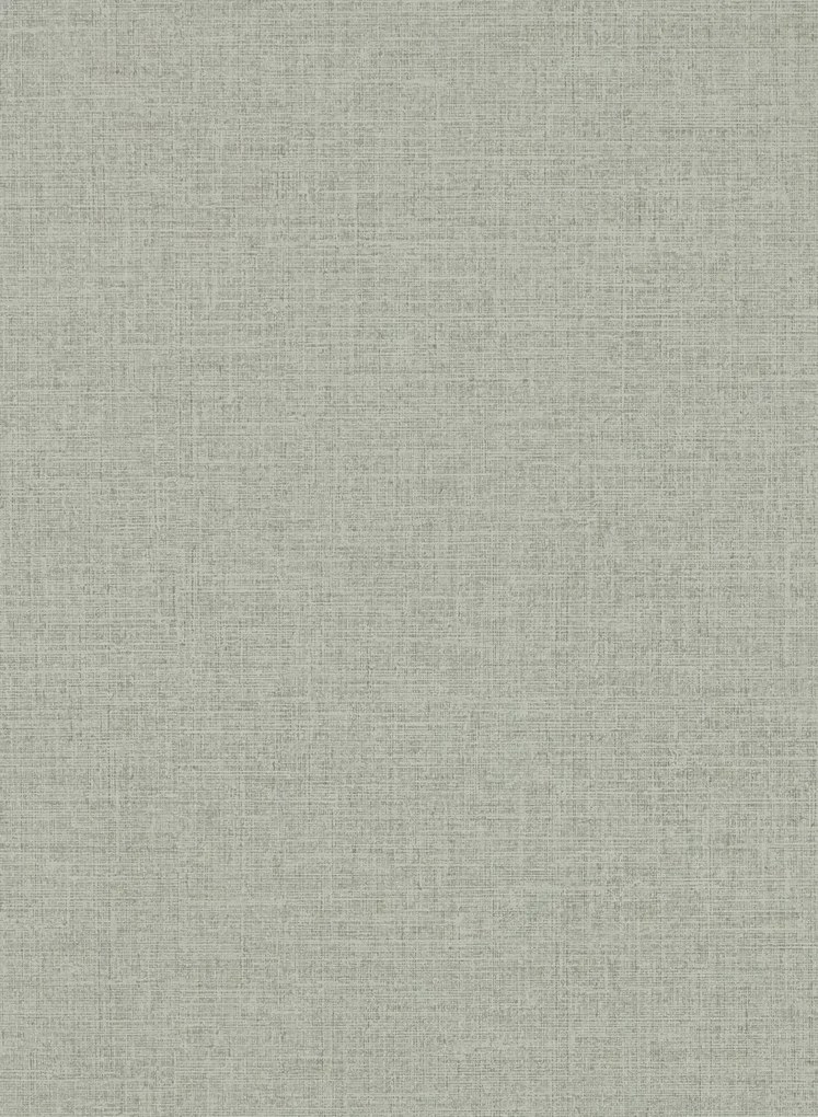 Clarke & Clarke Carta da parati Dalton - Dove