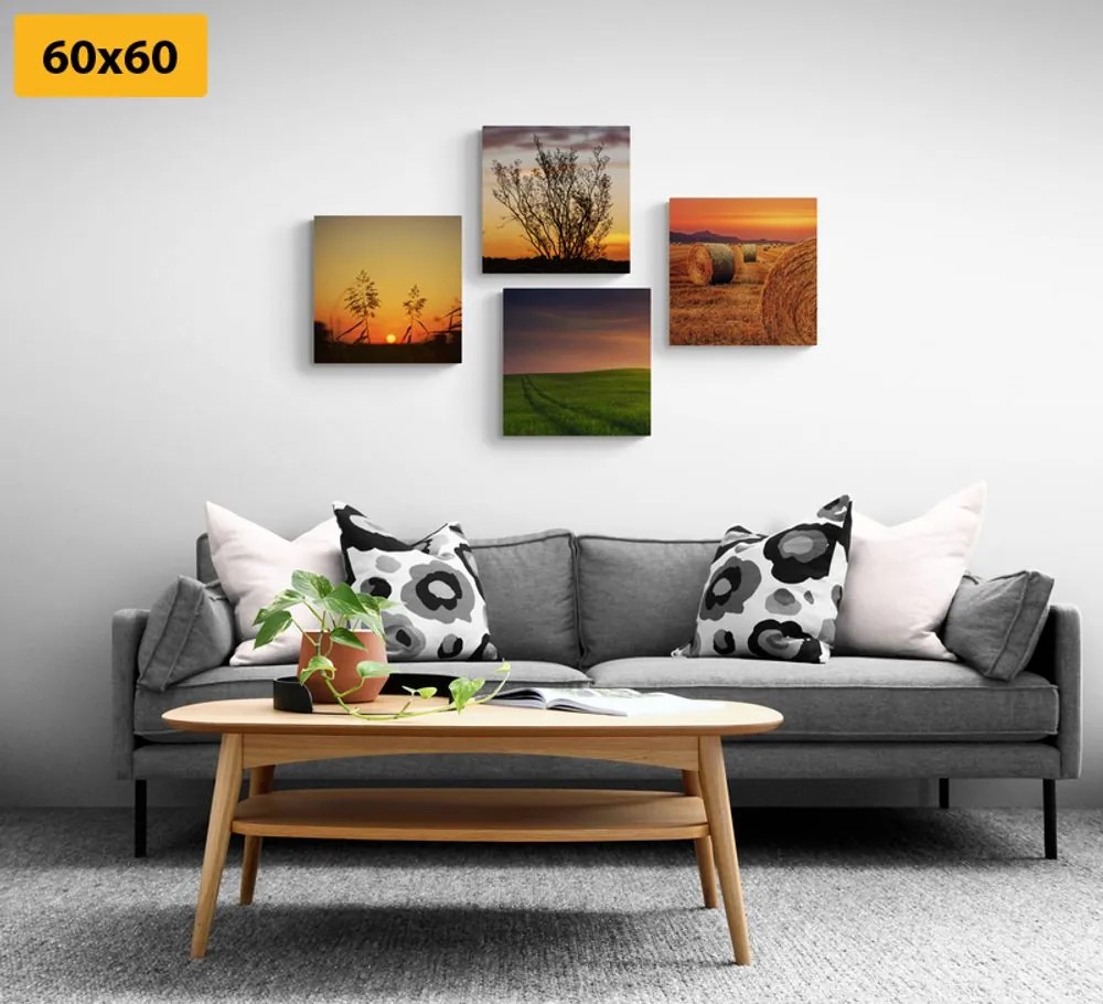 Set di quadri – Tramonto romantico sul prato