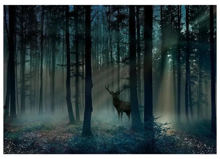 Fotomurale  Mystical Forest  Third Variant  Larghezza x Altezza Home decor 100x70