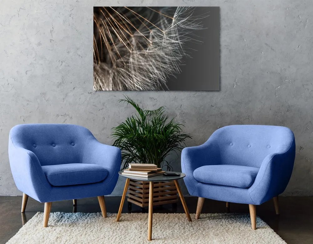 Quadro su tela – Bellezza del soffione