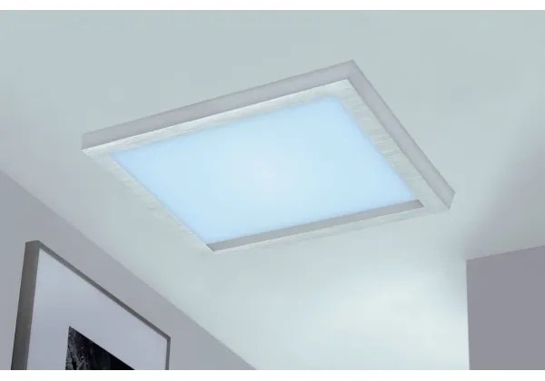 Briloner 7371-014 - Plafoniera LED dimmerabile LED/24W/230V 3000-6500K+ T