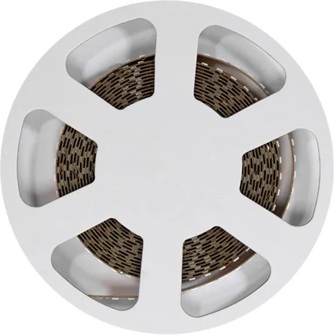 Striscia LED 24V 144W/m CRI>97 TRUE COLOR Professionale - IP20 - 5 metri