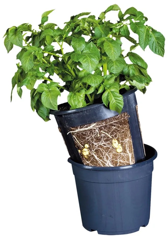 Vaso in plastica ø 30 cm - Esschert Design