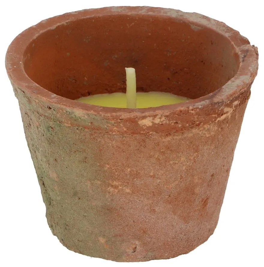 Candela profumata tempo di combustione 10 h Citronelle - Esschert Design