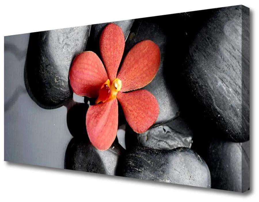 Quadro su tela Pietre di fiori Art 100x50 cm