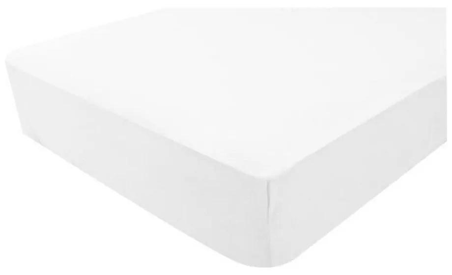 Lenzuolo con angoli aderenti Domiva Bianco Impermeabile 60 x 120 cm