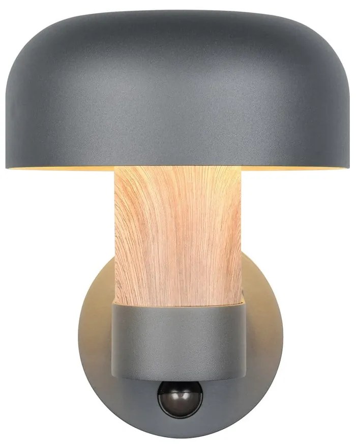 Illuminazione esterna con sensore di movimento da parete (altezza totale 24,5 cm) Fraser – Trio