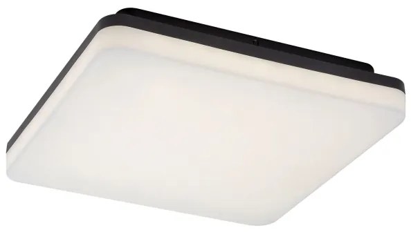 Rabalux 7250 - Plafoniera da bagno a LED PERNIK LED/24W/230V IP54