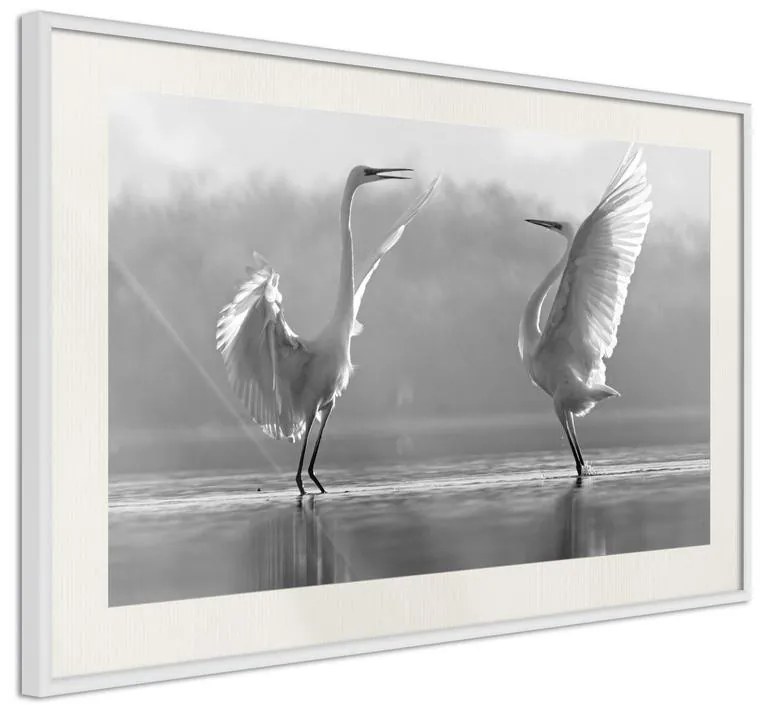 Poster  Black and White Herons  Cornice Quadri Cornice nera con pass-partout, Larghezza x Altezza Home decor 90x60