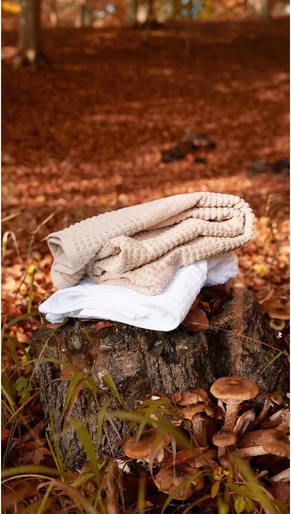 Asciugamano tipo terry bianco in cotone organico 50x100 cm Check – JUNA