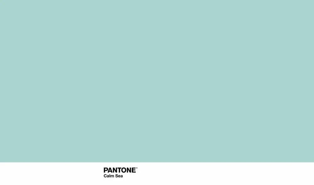 Copripiumino Pantone Calm Sea (Letto da 135) (220 x 220 cm)