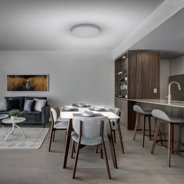 Solight WO798 - Plafoniera LED dimmerabile LED/36W/230V 3000-6000K + +TC