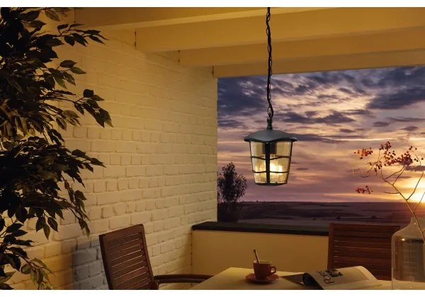 Eglo 93406 - Lampadario LED da esterno ALORIA 1xE27/8,5W/230V IP44