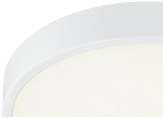 Globo 12364-30 - Lampada da bagno LED dimmerabile LED/28W/230V IP44