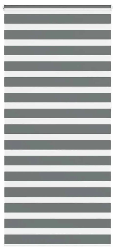 Tenda A Rullo Zebra Larghezza Tessuto 100,9 Cm Poliestere /