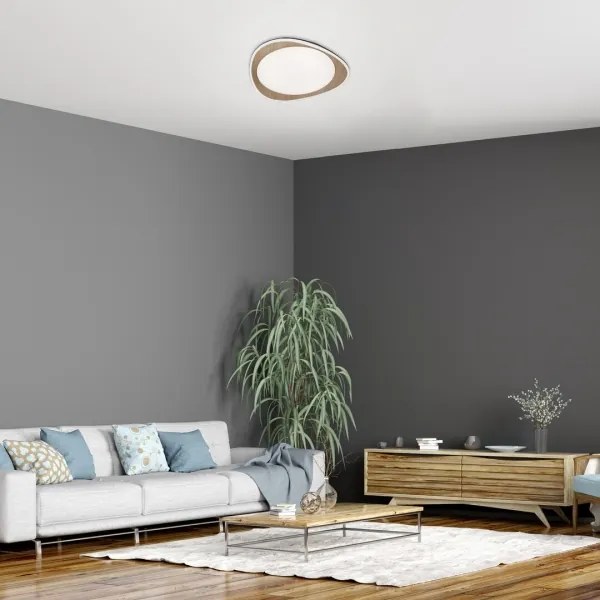 Rabalux 2427 - Plafoniera da soffitto TAMINO LED/24W/230V