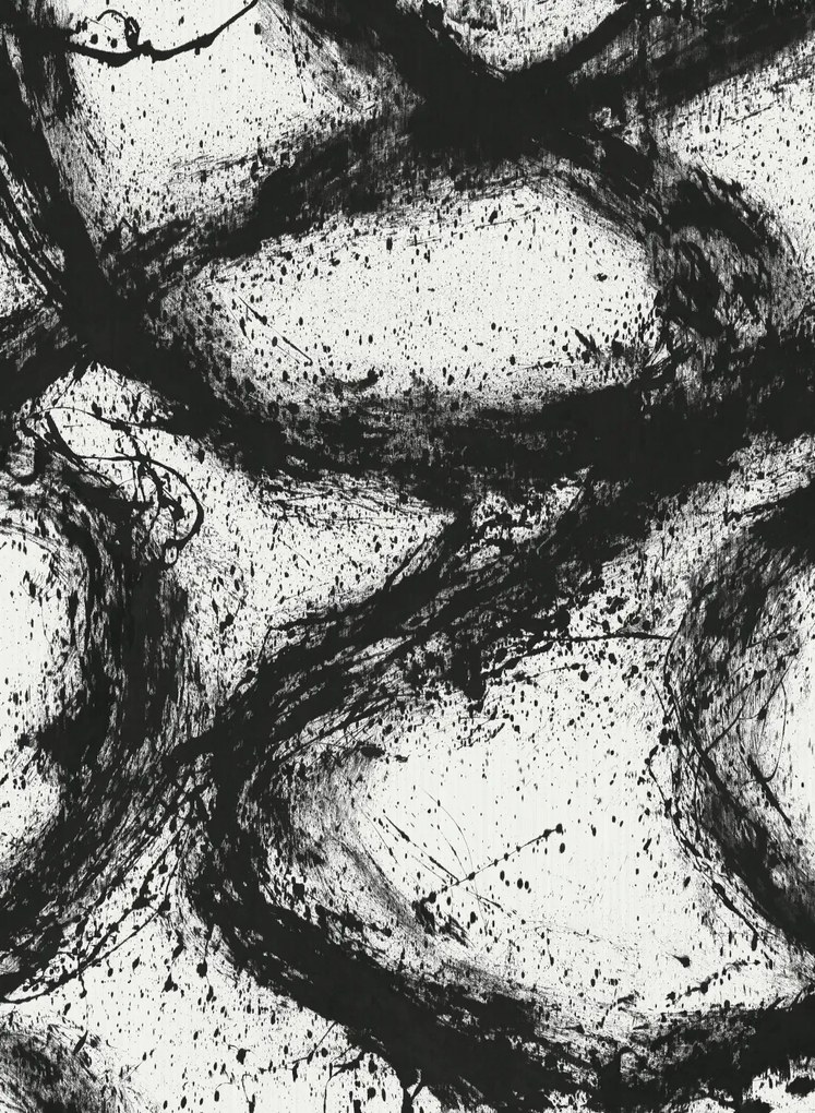 Harlequin Wandbild Enigmatic - Black Earth/ First Light
