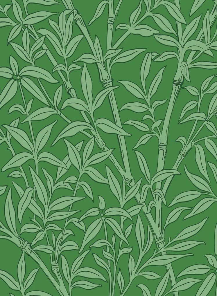 Cole & Son Carta da parati Bamboo Forest - Emerald