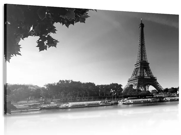 Quadro su tela – Parigi in autunno in bianco e nero