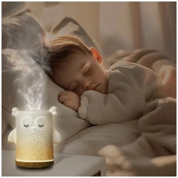 LED RGBW Diffusore di aromi LED/8W/230V 100 ml gufo