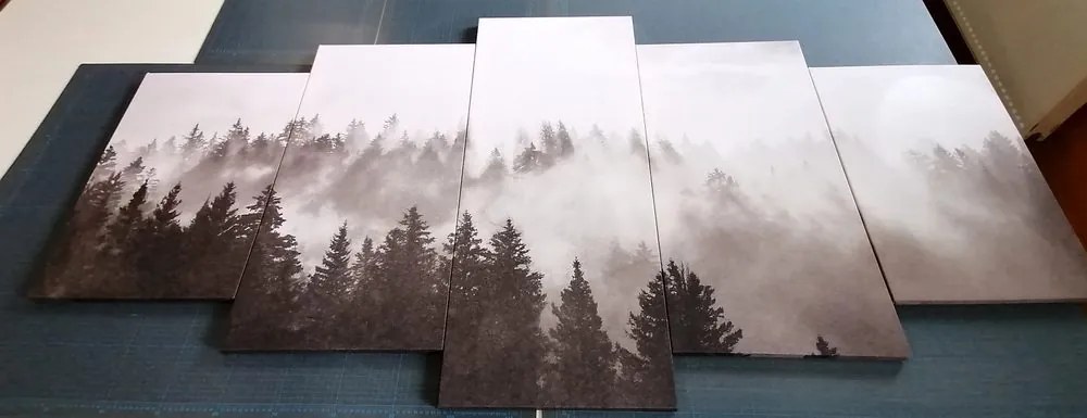 Quadri 5 pezzi – Nebbia sulla foresta in bianco e nero
