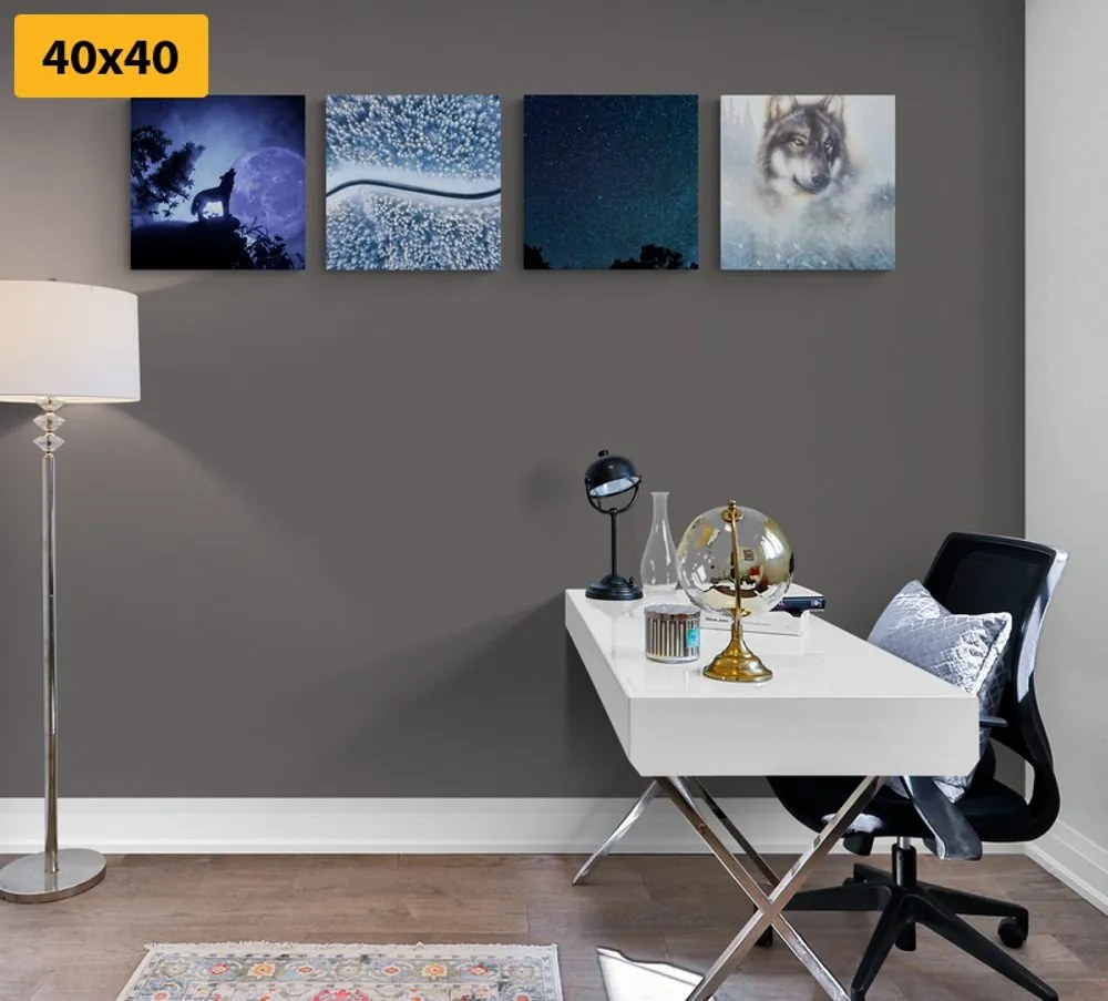Set di quadri – Lupo solitario