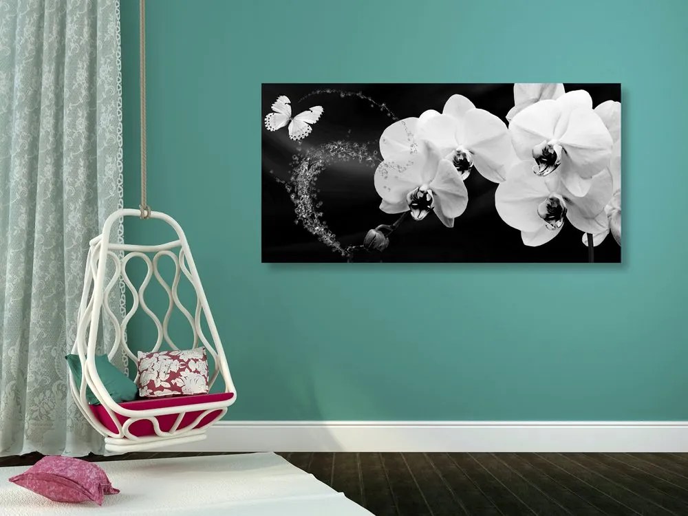 Stampa su tela – Orchidea e farfalla in bianco e nero