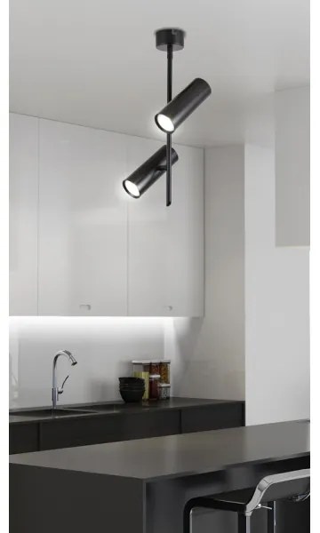 Luce Spot LED TUBA 2xLED/10W/230V nero