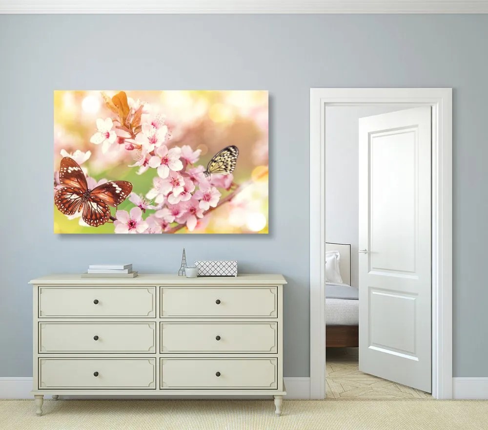 Quadro su tela – Fiori primaverili con farfalle esotiche