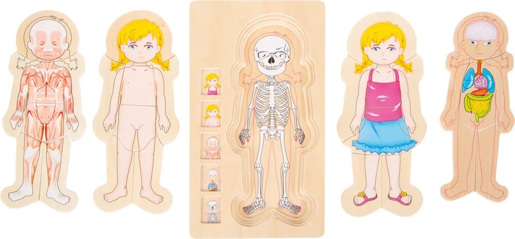 Puzzle di legno - Anatomia della ragazza Emma