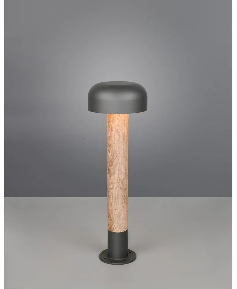 Illuminazione esterna a colonna ø 19 cm Fraser – Trio