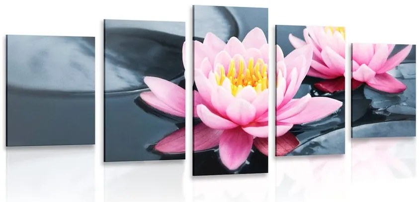 Quadri 5 pezzi – Fiore di loto nel lago