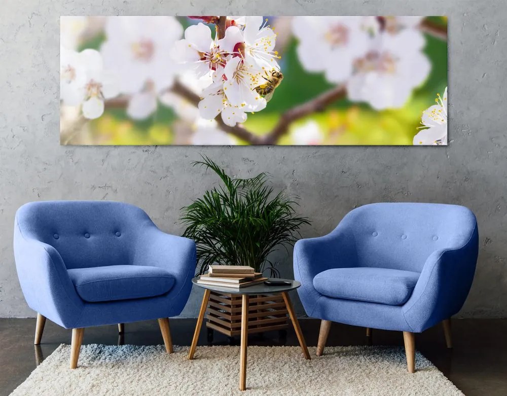 Stampa su tela – Fiori dell'albero in primavera