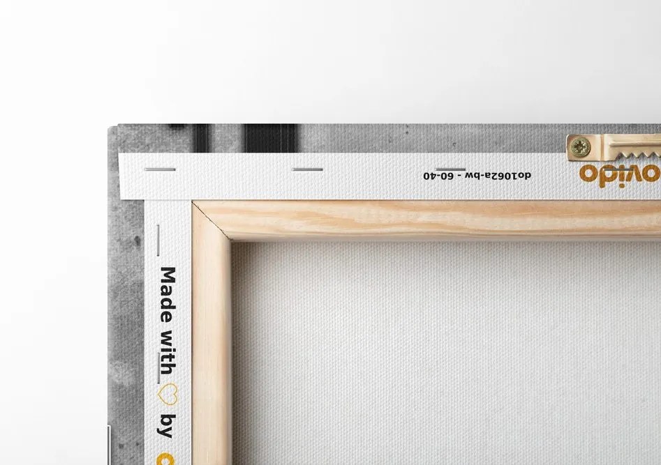 Stampa su tela – Astrazione in bianco e nero
