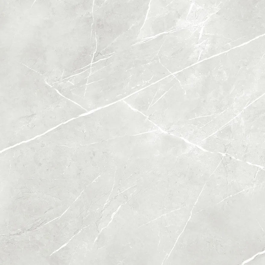 Gres Porcellanato Effetto Marmo Royal Bianco Opaco 60X120 - Epyw167