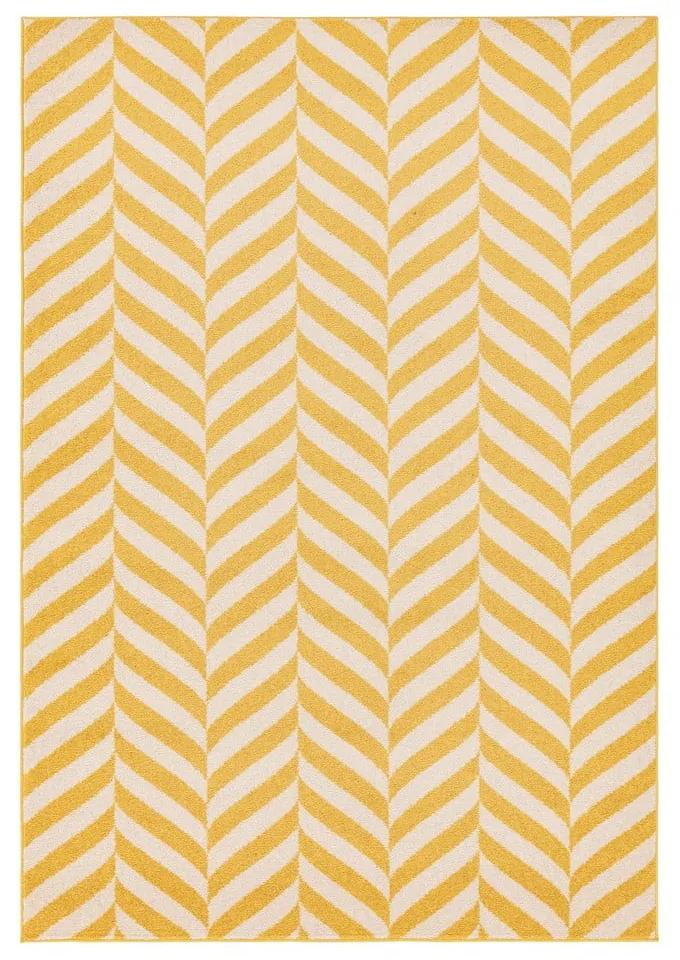 Tappeto giallo 170x120 cm Muse - Asiatic Carpets