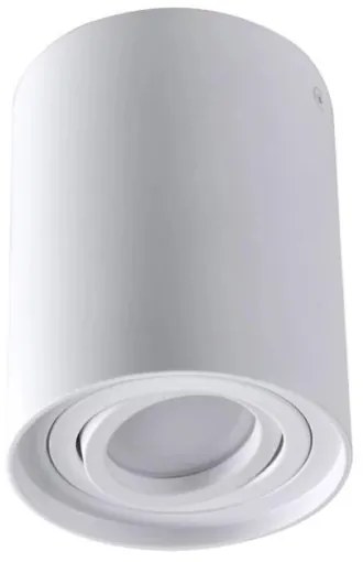 Luce Spot HADAR R1 1xGU10/10W/230V bianco