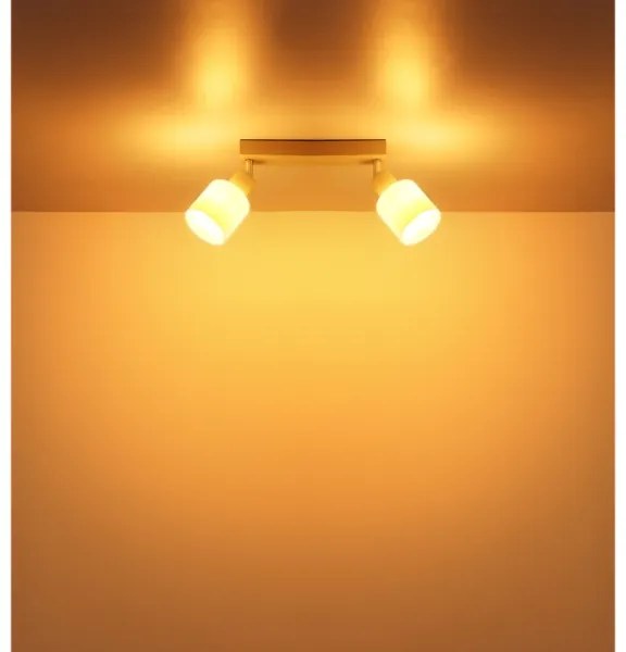 Globo 54114-2 - Faretto TRENT 2xE14/25W/230V