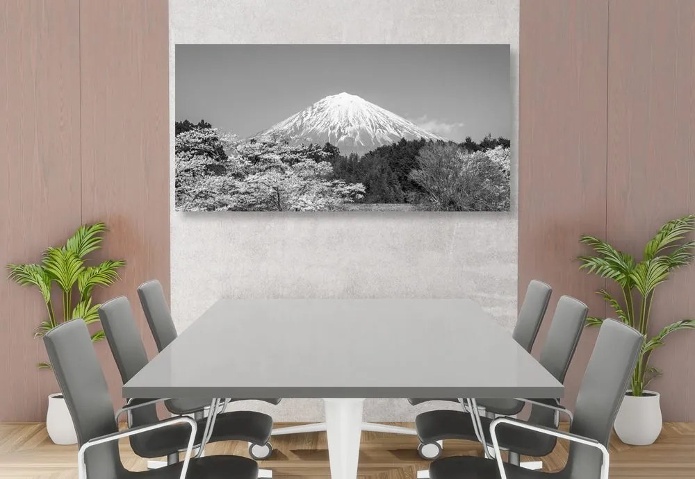 Stampa su tela – Monte Fuji in bianco e nero