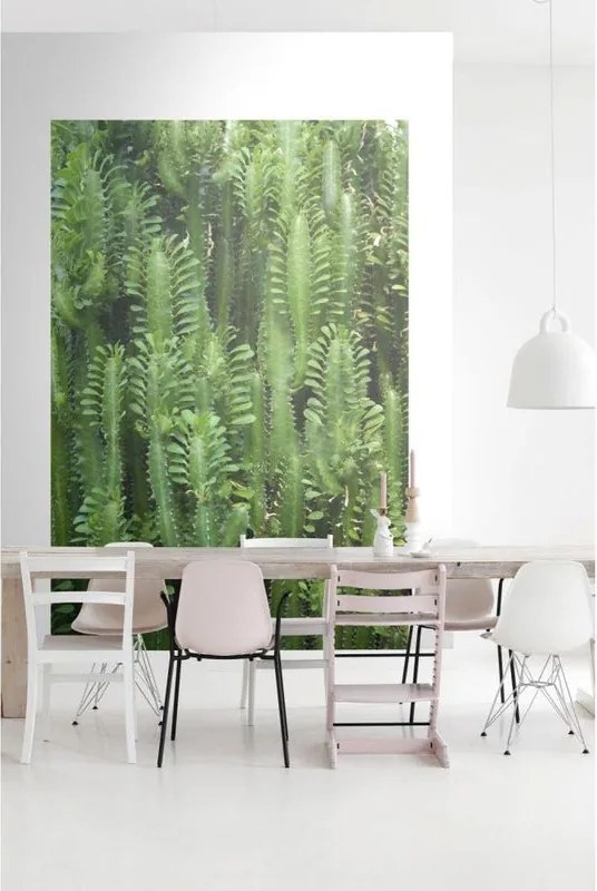 Fotomurale ESTA Jungle, Multicolor 186X280 cm